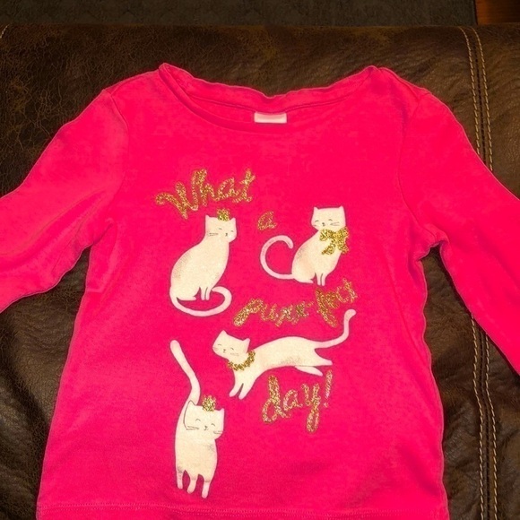 Gymboree size 4 pink long sleeve shirt. Cat graphic - Picture 1 of 6